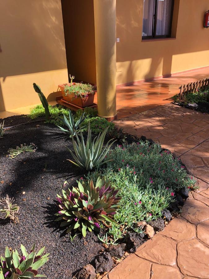 Apartament Casa Molly Corralejo Zewnętrze zdjęcie