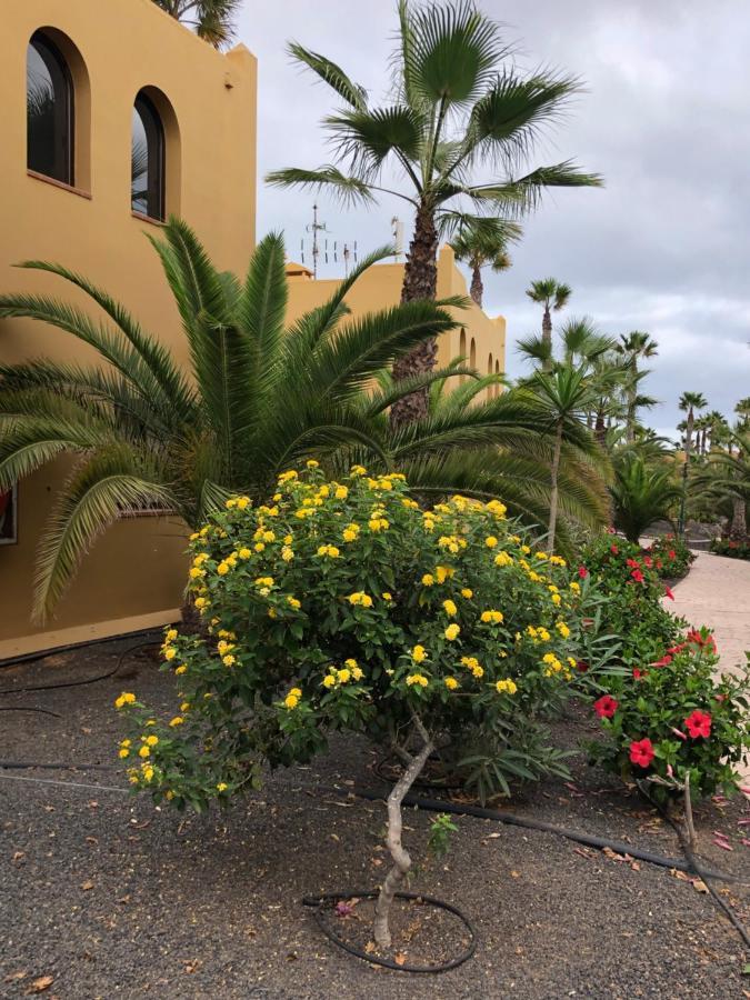 Apartament Casa Molly Corralejo Zewnętrze zdjęcie